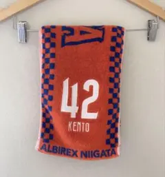 Item thumbnail for item 348f8fb0-248e-4d8d-a5cd-6c084d76d86b