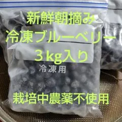 新鮮朝摘み 冷凍ブルーベリー 3kgのサムネイル