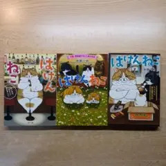 中原 一也3冊(はけんねこ ～今宵、野良猫たちにしあわせを～ など