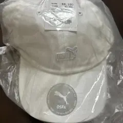 Item thumbnail for item d472ac40-3b2f-4264-8f77-c73a5df4d70f