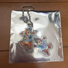 ディズニーシー25周年　 チップとデール アクリルキーホルダーのサムネイル