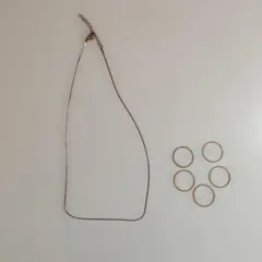 スキンジュエリー　ネックレスとリング5本セット