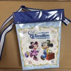 東京ディズニーリゾート バケーションパッケージ　ポップコーンバケット