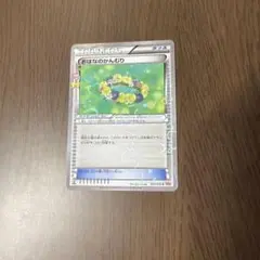 おはなのかんむり C XY BREAK コンセプトパック ポケキュンコレクショ…のサムネイル