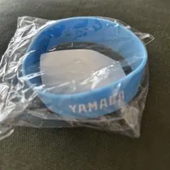 Item thumbnail for item 227f0ff9-d333-4021-9f4b-006b822cb187