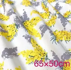 Item thumbnail for item 075a7cac-f12e-4080-80f6-9283efd678f7