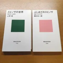 講談社現代新書 スピノザの世界 はじめてのスピノザ セット