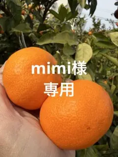専用 mimi様