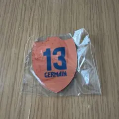 新品☆清水エスパルス エンブレムマグネット ジャーメイン良選手