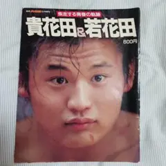 貴花田&若花田 特集号 大相撲5月増刊