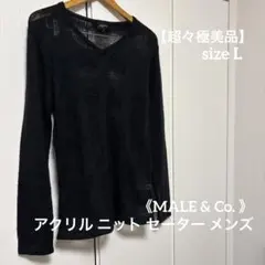 【超々極美品】★《MALE & Co. 》★ニット セーター sizeL メンズ