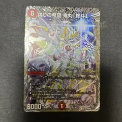 混沌の獅子デスライガー カオスチャージャープロモ - メルカリ