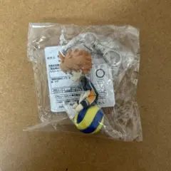 ハイキュー!! プチっとりマスvol.1