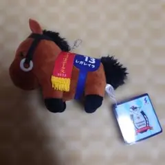 サラブレッドコレクション