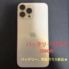 2025年最新】iPhone13pro 256gb バッテリー100の人気アイテム - メルカリ