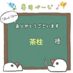 ☘️《訳あり品》鳥 バードトイ おもちゃ くるくる観覧車 (マンチボール2個付)