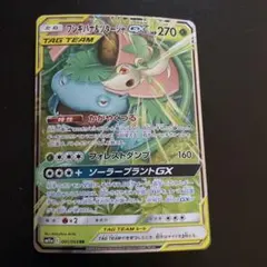 フシギバナ＆ツタージャGX RR SM11a リミックスバウト 001/064