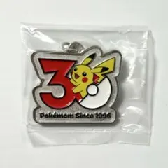 ポケモン30周年 メタルチャームマスコット めじるしアクセサリー ピカチュウ