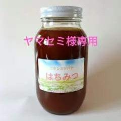 ヤマセミ様専用 日本ミツバチ はちみつ 信州産 無添加・非加熱 1160g