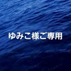 ゆみこ様ご専用