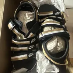 Nike スポーツサンダル ブラック/ゴールド