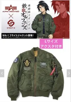 新品　Lサイズ　アクリルスタンド付き　STRICT-G ALPHA N-2B STRICT-G ALPHA N-2B『新機動戦記ガンダムW Endless Waltz』ヒイロ