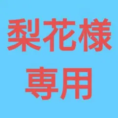 ★(梨花様専用！)トップグレードレインボーアンデシン9.8ミリビーズG(SA+)