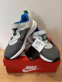 Item thumbnail for item e3901769-9350-421b-8034-21ba6d59a840