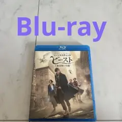 ファンタスティック・ビーストと魔法使いの旅　Blu-ray