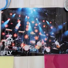 BUMP OF CHICKEN ポスター