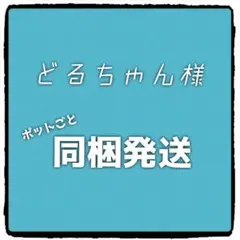 どるちゃん様 リクエスト 3点 まとめ商品