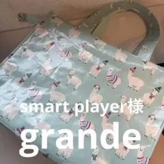 smart player様 キャスキッドソンハンドメイドオーダーバッグ - メルカリ