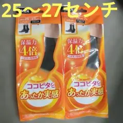 Item thumbnail for item 736e9340-b9d1-418c-9bc0-f8d87385f634