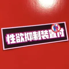 きたちゃん様 リクエスト 2点 まとめ商品