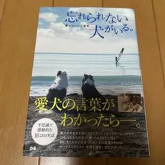 忘れられない犬がいる。