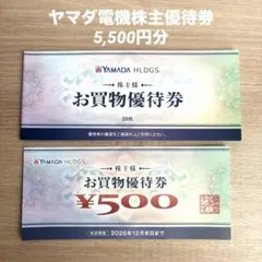ヤマダ電機お買物優待券　株主優待　11枚　5,500円