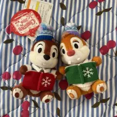 レア！】ディズニーランド チップとデール ぬいぐるみバッジ 30周年