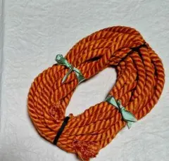 Item thumbnail for item 145b80e5-db58-4bad-a771-9482fa097084