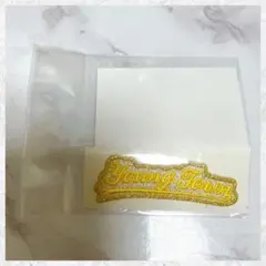 MBS ヤングタウン ヤンタン　有楽町限定　刺繍ワッペン　イエロー　②のサムネイル