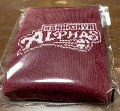 【非売品】Bリーグ 越谷アルファーズ　ゲームデイプログラム&リストバンド