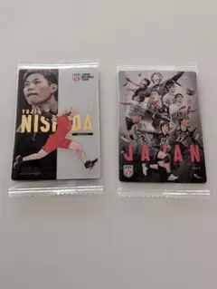 男子バレーボール日本代表 ツインウエハース SP 西田 集合
