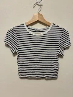 ZARA ストライプ クロップドTシャツ M