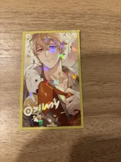 ケシー 「NU： カーニバル きらきらカードコレクション」