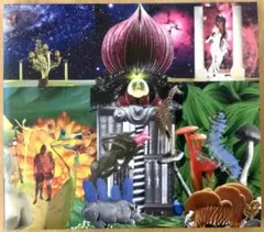 The Apples In Stereo / New Magnetic...