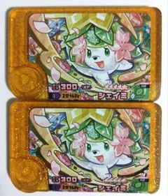 フレンダ　レガシー　シェイミ