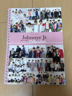 Johnny's Jr. カレンダー 2017.4~2018.3 カード付き