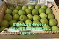 白加賀梅コンパクトボックスに入る分だけ約950ｇ綺麗なものを選びました。のサムネイル