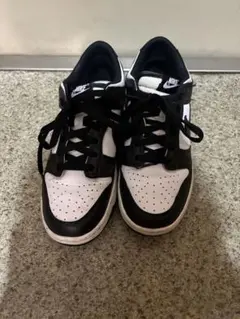 Item thumbnail for item 6b4803b0-5499-4b57-acc2-3996f991c332