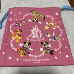 ディズニーランド スーベニア ミニーマウス デイジー 巾着 お土産 2個セット