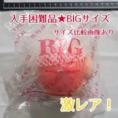 オールドブルーム スクイーズ 桃 ザ・ピーチ 黒パンダ - メルカリ